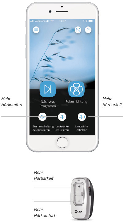 Widex Evoke